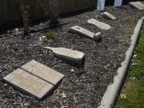 image of grave number 936440
